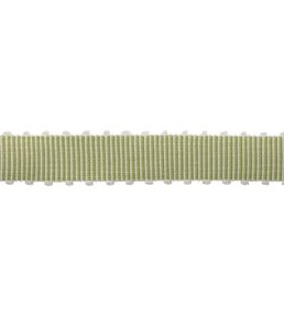 Westport Picot Border Trimming by Samuel & Sons Spring Green