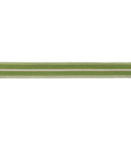 Westport Striped Border Trimming by Samuel & Sons Spring Green