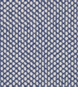 Wicker Outdoor Fabric by Fermoie Blue