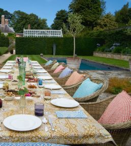 Wicker Outdoor Fabric by Fermoie Red