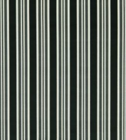 Wilmott Fabric by Clarke & Clarke Ebony