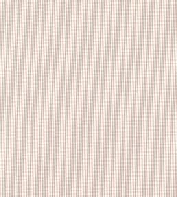 Windsor Fabric by Clarke & Clarke Blush