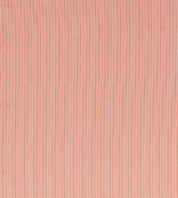 Windsor Fabric by Clarke & Clarke Rouge
