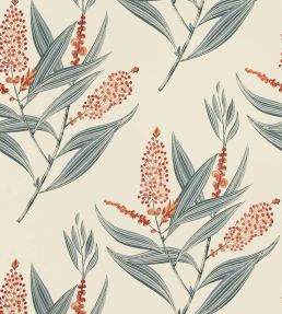 Winter Bud Wallpaper by Anna French Coral
