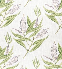 Winter Bud Fabric by Anna French Lavender