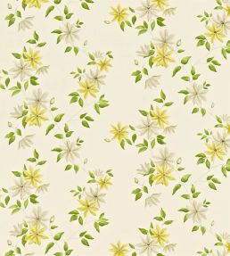 Wisley Fabric by Sanderson Primrose/Cream