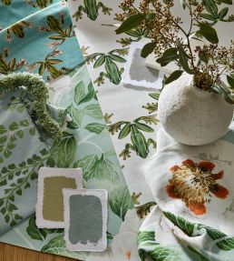 Wood Frog Wallpaper by Harlequin Forest / Chalk