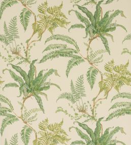 Woodfern Wallpaper by Colefax and Fowler Green