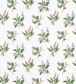 Woodland Fabric by Anna French Green & Blush