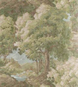 Woodland Clearing Wallpaper by Thibaut Green