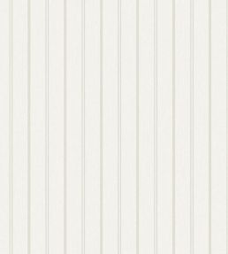 Woodland Stripe Wallpaper by Borastapeter Grey