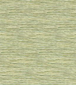 Xan Wallpaper by Clarke & Clarke Palm