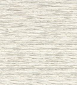 Xan Wallpaper by Clarke & Clarke Parchment