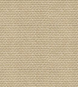 Yuca Wallpaper by Coordonne Arena