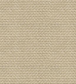 Yuca Wallpaper by Coordonne Beige