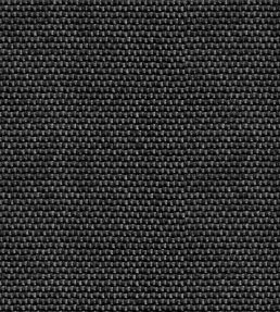 Yuca Wallpaper by Coordonne Black