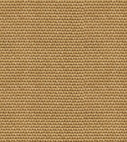 Yuca Wallpaper by Coordonne Gold