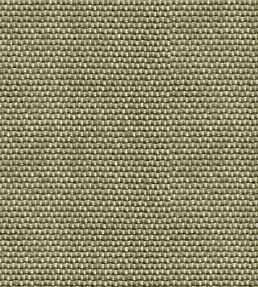 Yuca Wallpaper by Coordonne Green