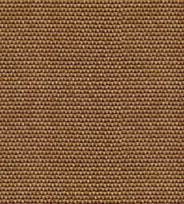 Yuca Wallpaper by Coordonne Pampas