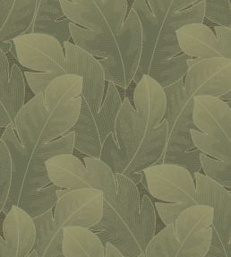 Yuto Wallpaper by Casadeco Vert Feuille