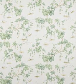 Yvette Fabric by Colefax and Fowler Cream/Leaf