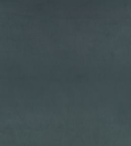 Z Suede Fabric by Zinc Aviator