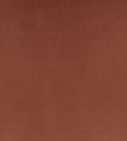 Z Suede Fabric by Zinc Brunello