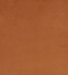 Z Suede Fabric by Zinc Cognac