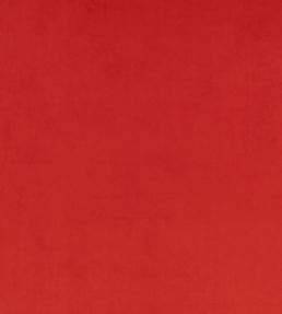 Z Suede Fabric by Zinc Dragon