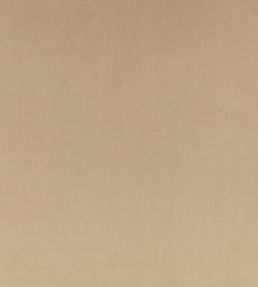 Z Suede Fabric by Zinc Driftwood