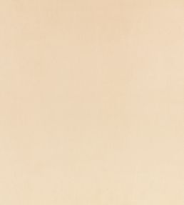 Z Suede Fabric by Zinc Gazelle