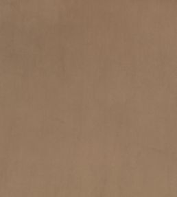 Z Suede Fabric by Zinc Mole