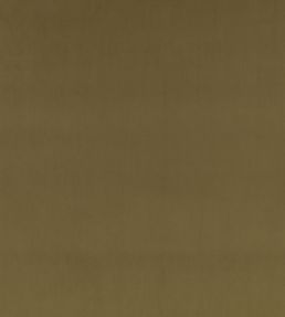 Z Suede Fabric by Zinc Moss