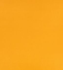 Z Suede Fabric by Zinc Ochre