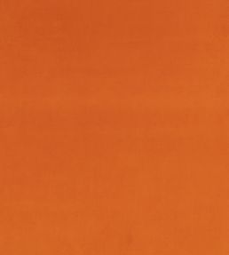 Z Suede Fabric by Zinc Rust