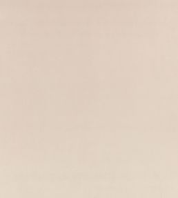Z Suede Fabric by Zinc Seal