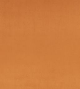 Z Suede Fabric by Zinc Tan