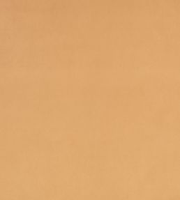 Z Suede Fabric by Zinc Tobacco