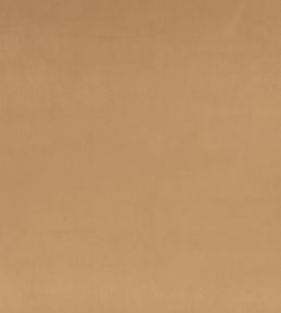 Z Suede Fabric by Zinc Truffle