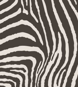 Zebra Fabric by Arley House Graphite
