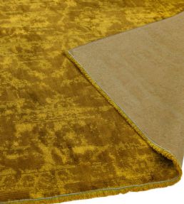 Asiatic Zehraya Abstract rug Gold ZE-09-120180 Gold