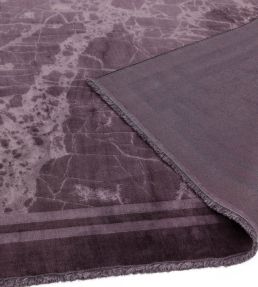 Asiatic Zehraya Border rug Purple ZE-01-120180 Purple