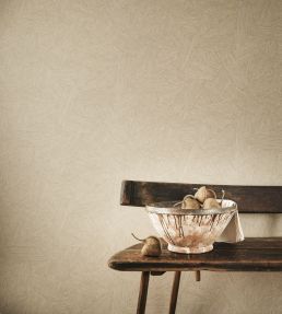 Zenya Wallpaper by Romo Chalk
