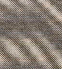 Zeus Fabric by Kai Moonlight