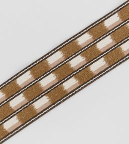 Zhari Braid Trimming by Romo Tuscan Pink