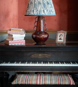 Zigga Stripe Fabric by Ian Sanderson Spice Mix