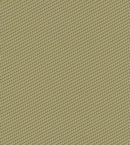 Zigzag Fabric by Nobilis Vert Amande