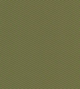 Zigzag Fabric by Nobilis Vert Pomme