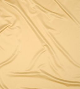 Solice Fabric by Zimmer + Rohde 813