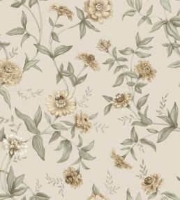 Zinnia Wallpaper by Borastapeter Desert